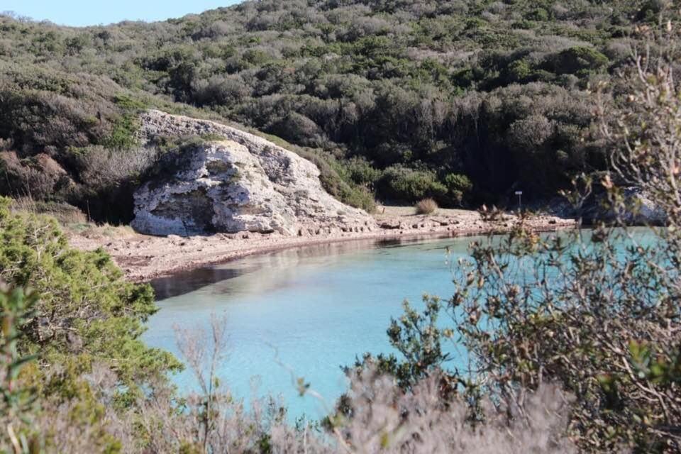 Case Di A Cappana-Villa Vincent Bonifacio  Exteriér fotografie